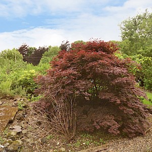 York Cottage, 32 Foulford Road, Cowdenbeath, KY4 9AS